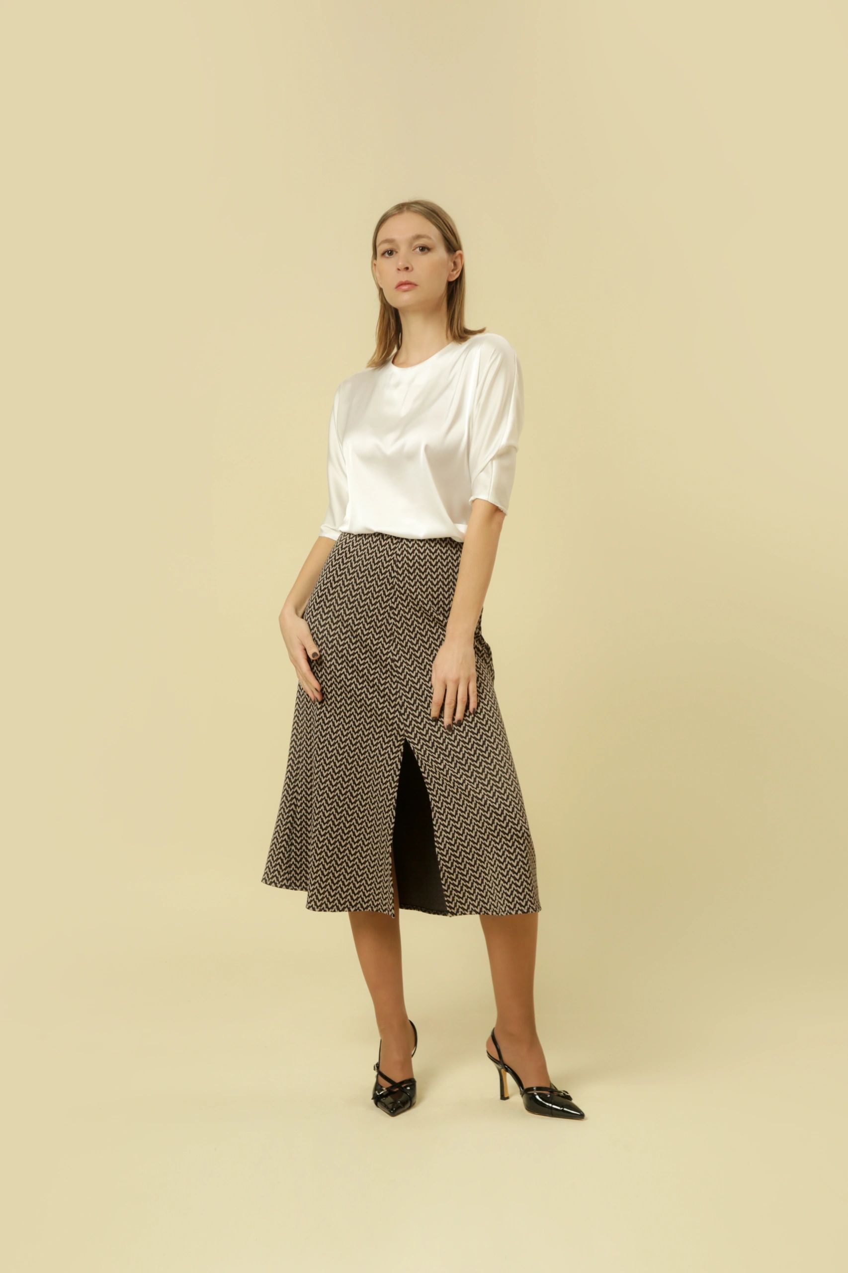 Studio portrait of model wearing elegant shirt and skirt